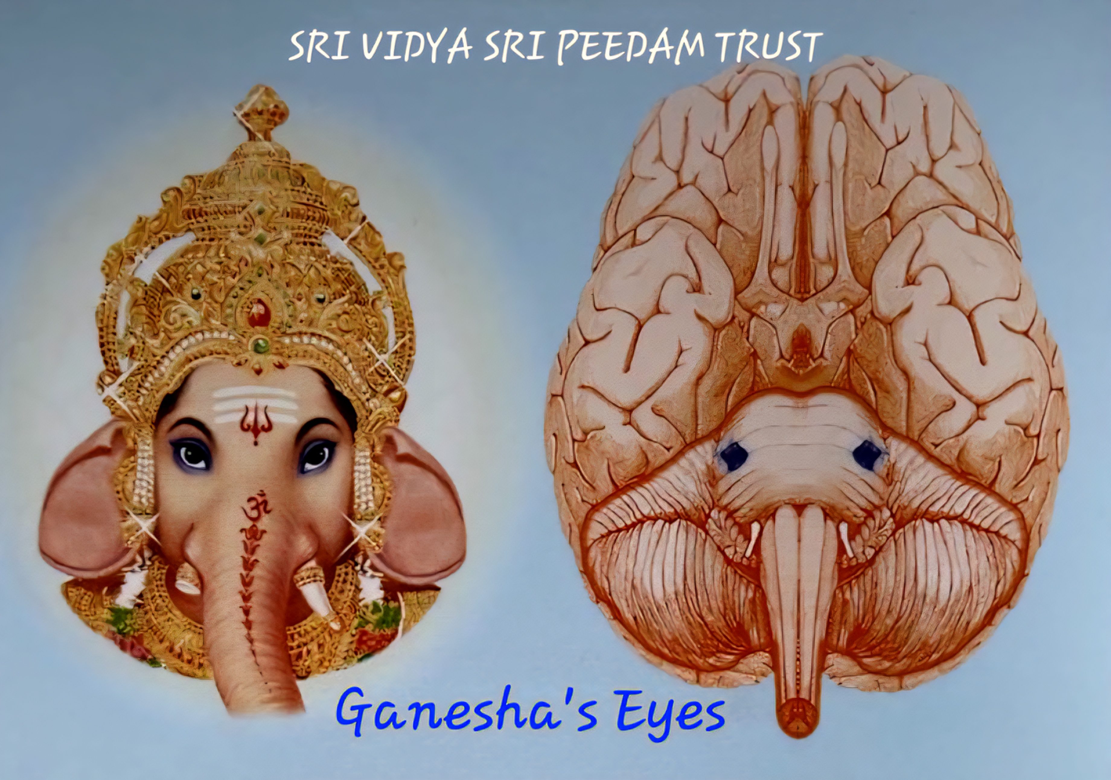ganeshas eyes