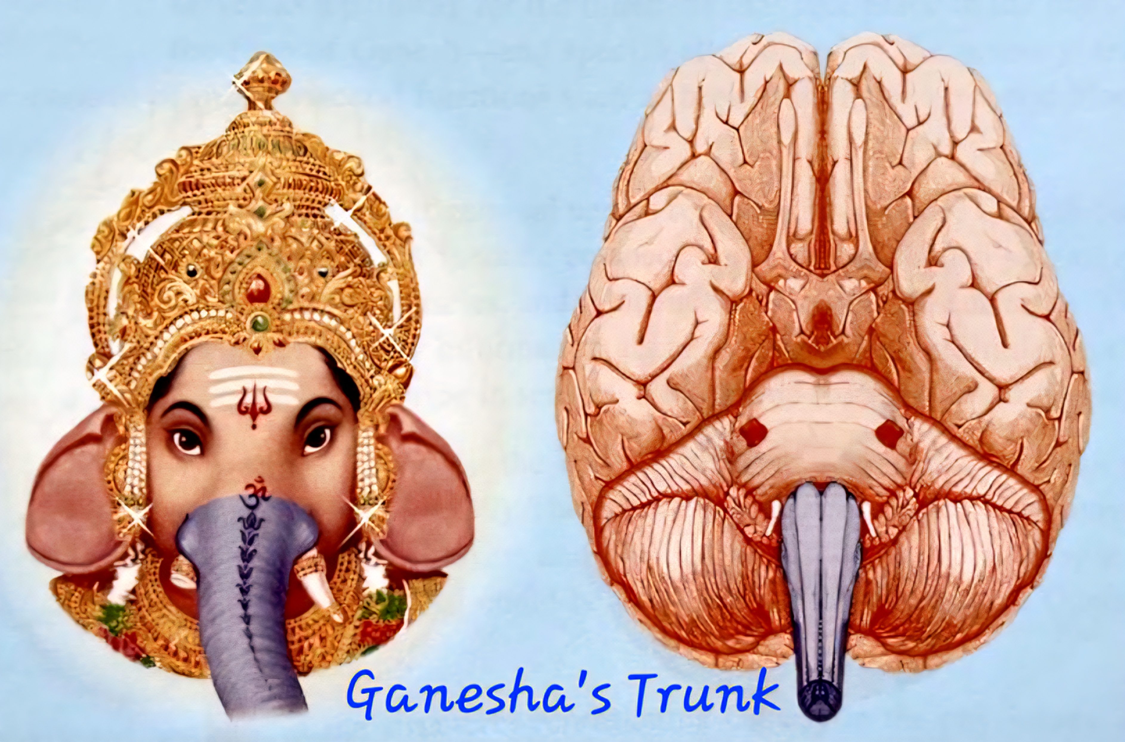 ganeshas trunk