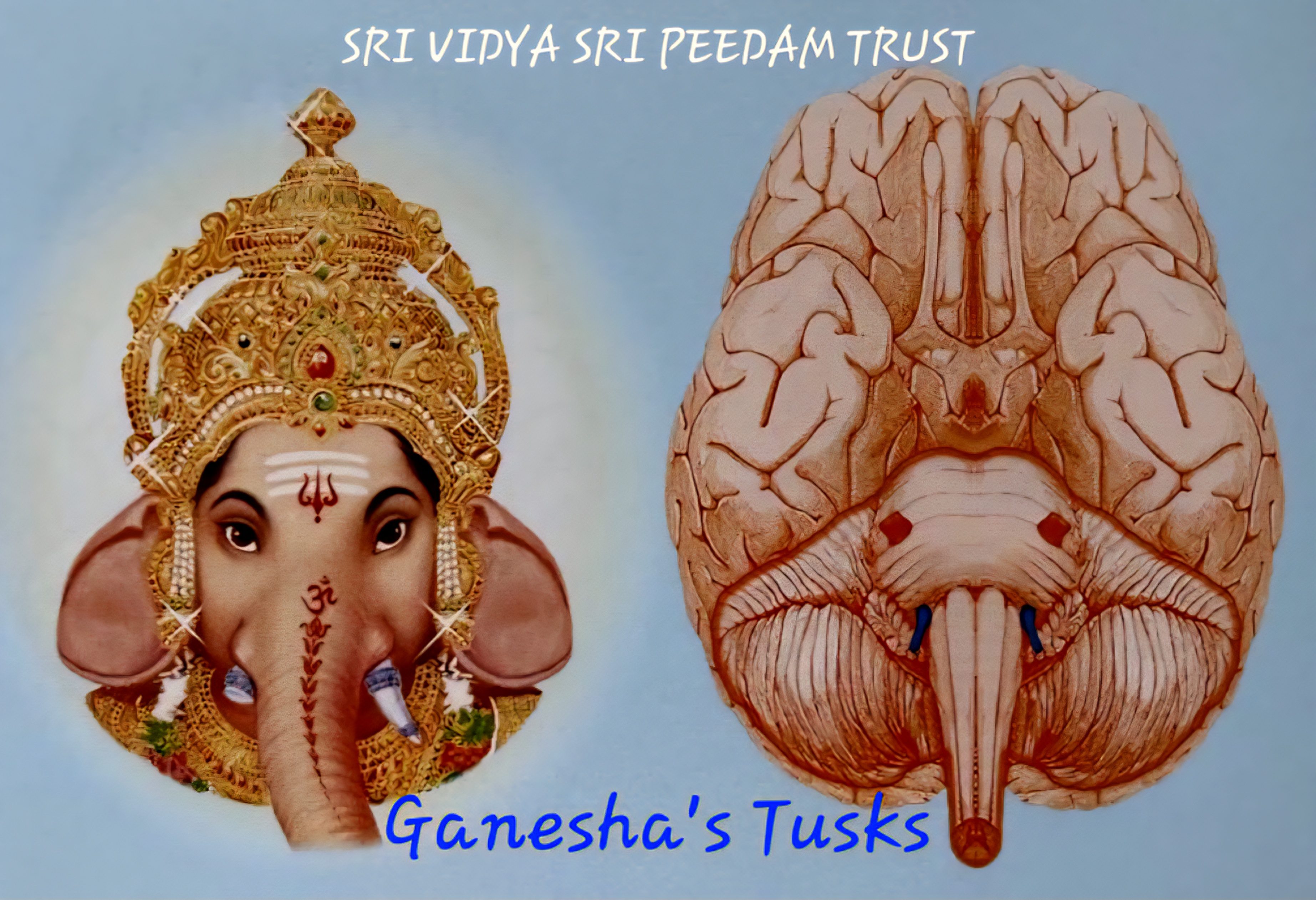ganeshas tusks